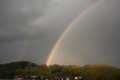 Regenbogen 13.10.2009 006
